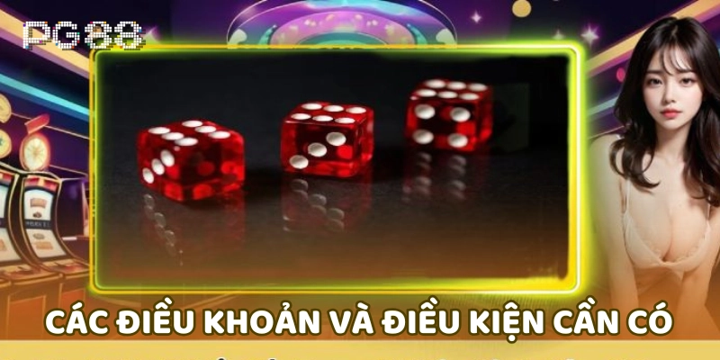 Các điều khoản và điều kiện cần có